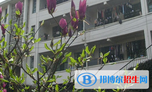 湖南2023年有什么中专学校最好