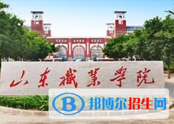 山东职业学院是大专还是中专(山东职业学院)