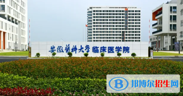 2023安徽理科440分左右能上什么好大学（本省大学+外省大学）