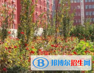 河南2023年卫校学什么最好