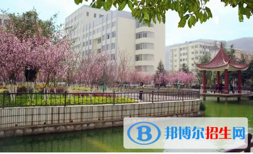 云南科技信息职业学院是大专还是中专(云南科技信息职业学院)