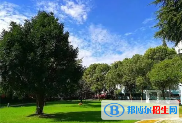 上海洋泾中学国际部怎么样2