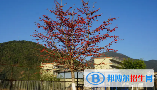 2023攀枝花各区重点高中学校名单及排名表