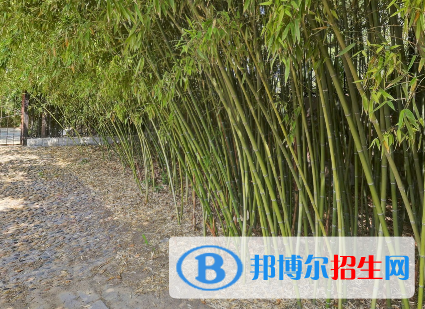 河南2023年卫校学费多少