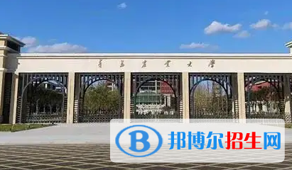 青岛农业大学排名(全国)青岛农业大学在山东排名