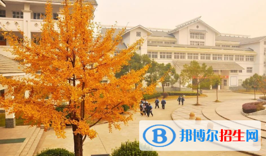 浙江2023年高中毕业可以上中专学校吗