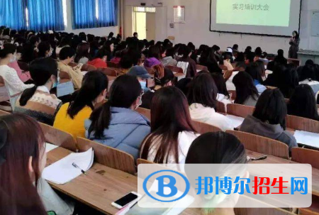 人文教育专业好吗?
