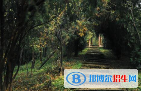 重庆2023年什么中专学校就业最好