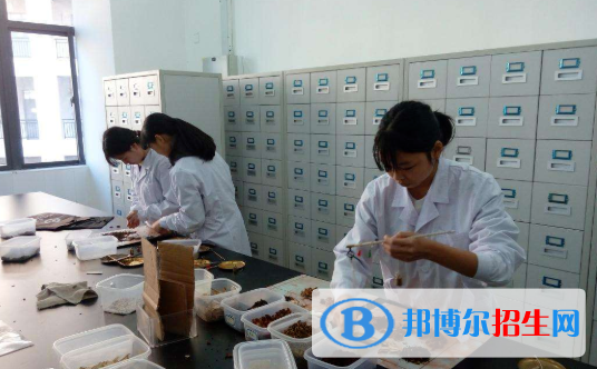 浙江2023年初中毕业有哪些中专学校