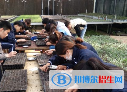 现代农业经济管理专业好吗?