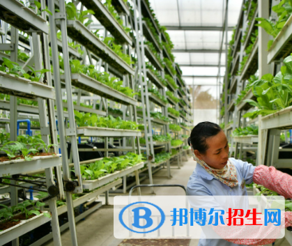 农产品流通与管理专业好吗?