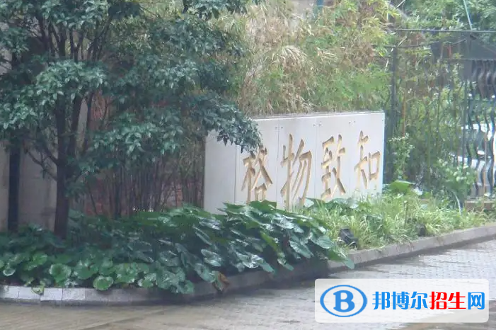 上海格致中学国际部2023年录取分数线2