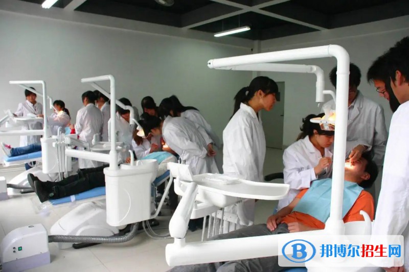 浙江2023年卫校读什么专业有前途