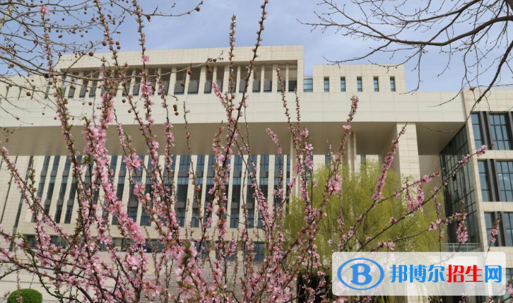 2023保定公办专科学校一览表