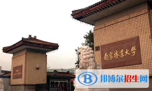 中国大学林产化工专业排名(2022应用型)