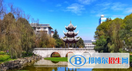中国大学认知科学与技术专业排名（2022研究型）