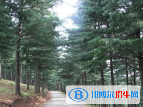 林草生态保护与修复专业好吗?