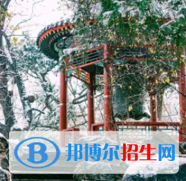 中国大学国际经济与贸易专业排名（2022研究型）