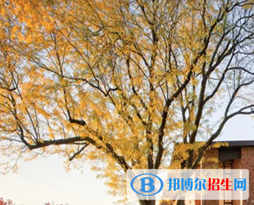 美国巴斯图高中2023年学费标准2