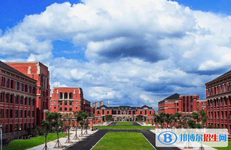 浙江单招人工智能技术应用专业2023年有哪些学校
