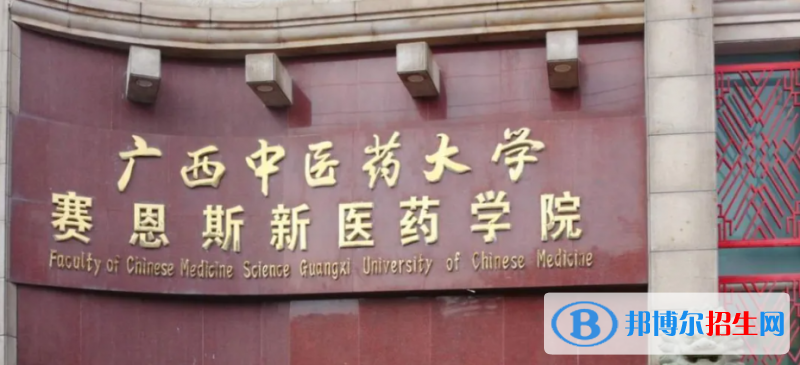 广西中医药大学赛恩斯新医药学院2022年各个专业录取分数线汇总