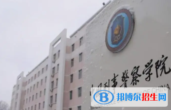 中国大学网络安全与执法专业排名（2022研究型）