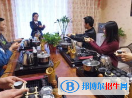 茶艺与茶文化专业好吗?