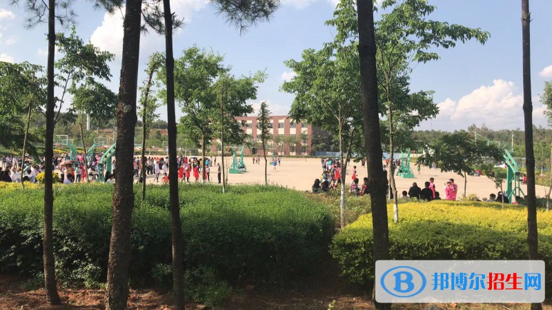 云南2023年中专学校读出来是什么文凭