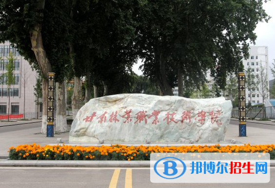 2022天水市高职院校排名(校友会)