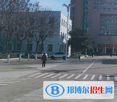 2023农业生物技术专业的高职专科学校有哪些?(附排名)