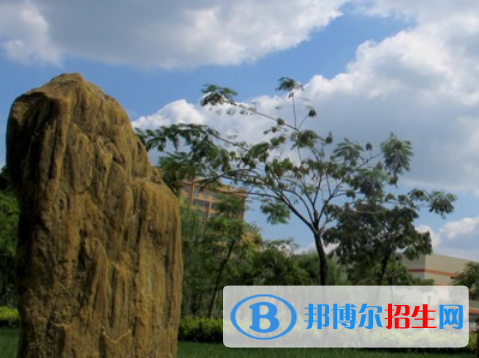 2023新乡有哪些专科学校 
