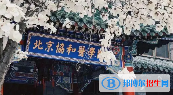 中国大学临床医学专业排名(2022应用型)
