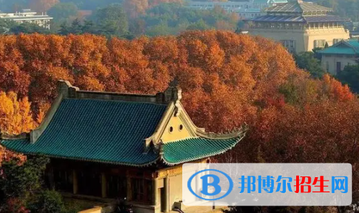 中国大学遥感科学与技术专业排名（2022研究型）