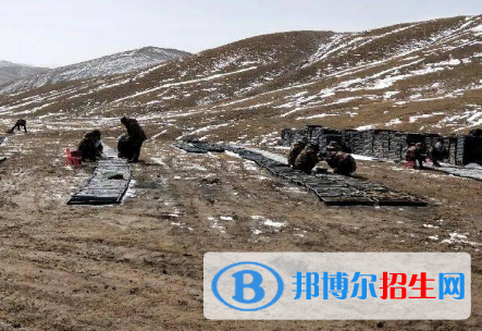 矿产地质勘查专业好吗?