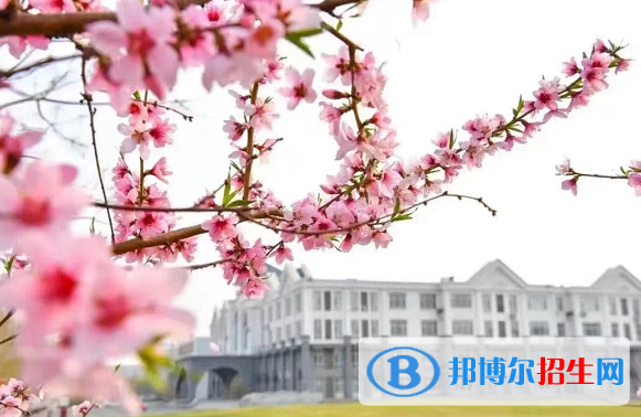 2022潍坊市大学排名(校友会)