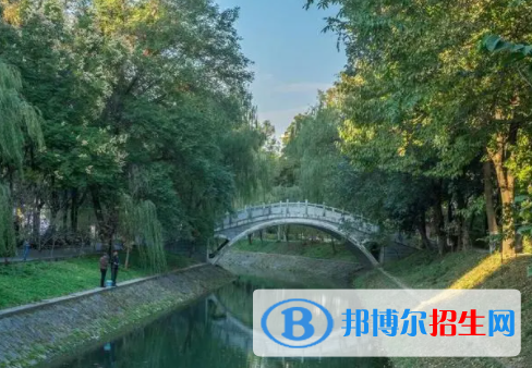 中国大学林产化工专业排名（2022研究型）