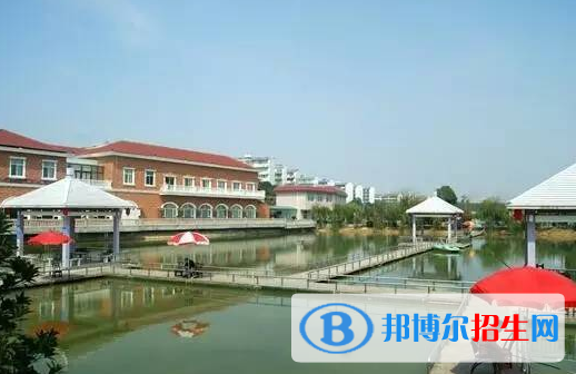 湖南单招会计专业2023年有哪些学校