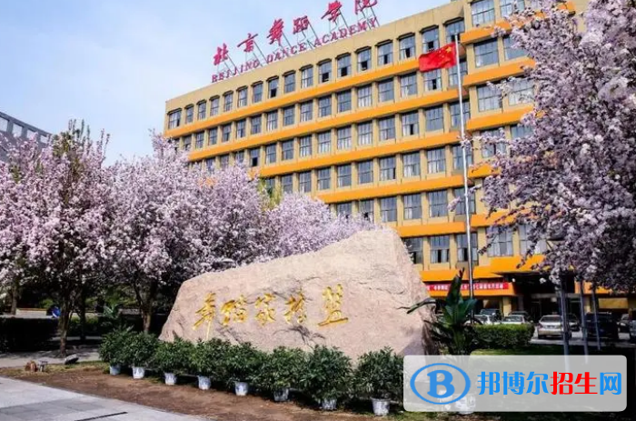 中国大学舞蹈表演专业排名(2022应用型)