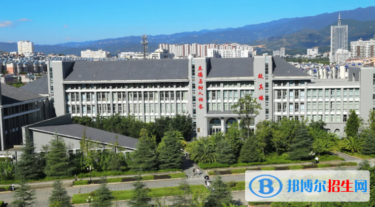 2022临沧市大学排名(校友会)