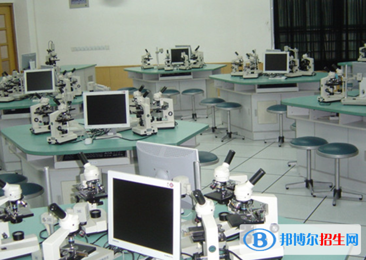 上海文绮中学GAC高中国际课程部2023年录取分数线2
