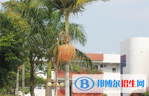 潮阳黄图盛中学2022录取分数线（2023参考）