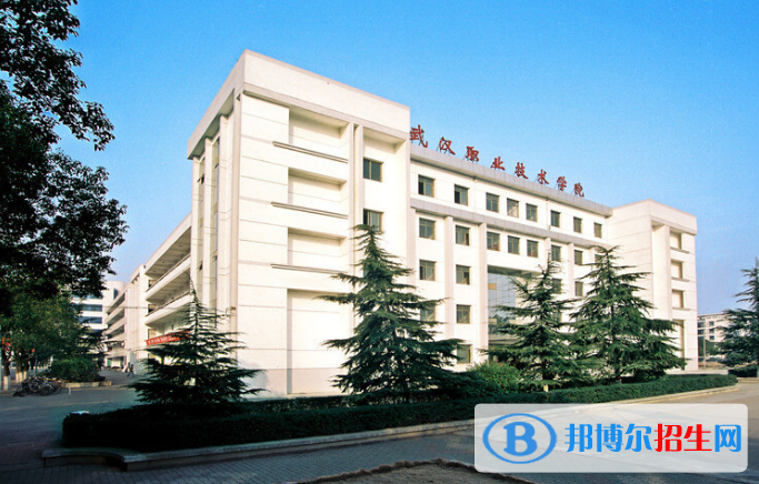 2022武汉市高职院校排名(校友会)