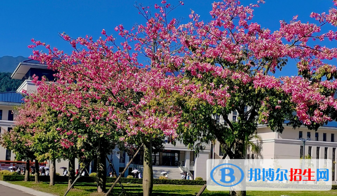 2022肇庆市民办大学排名(校友会)