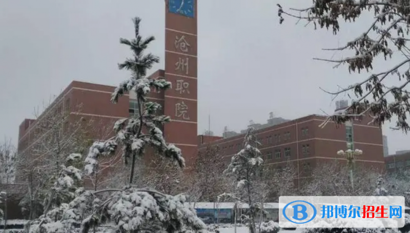 河北单招文化产业经营与管理专业2023年有哪些学校