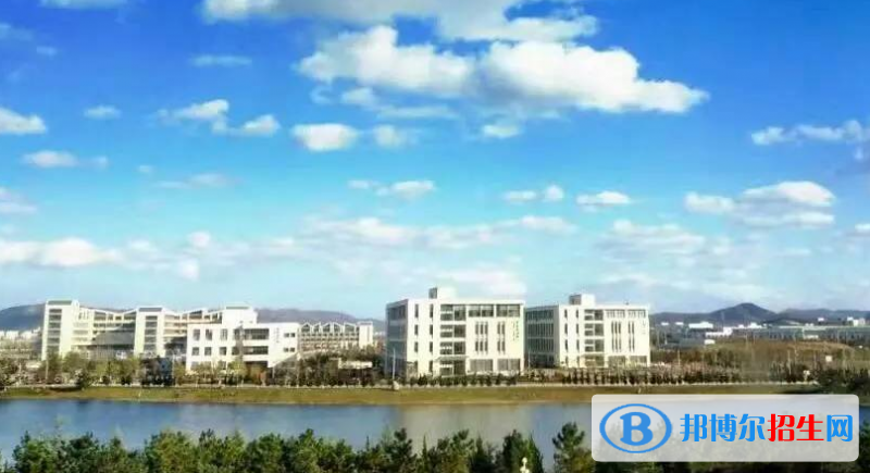 山东单招精密医疗器械技术专业2023年有哪些学校