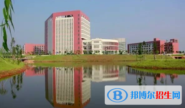 广东单招食品质量与安全专业2023年有哪些学校