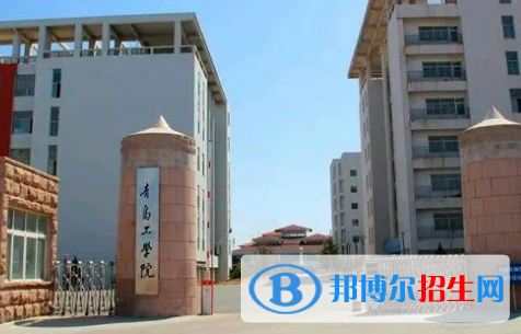 青岛工学院排名(全国)青岛工学院在山东排名
