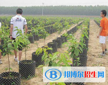 农业建筑环境与能源工程专业好吗?(农业建筑环境与能源工程专业)