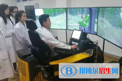 森林工程专业好吗?(森林工程专业)