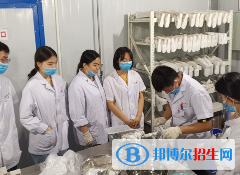 假肢矫形工程专业好吗?(假肢矫形工程专业)